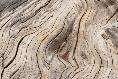 Wood surface of the sun cast long. The surface is cracked and brown. A beautiful pattern.