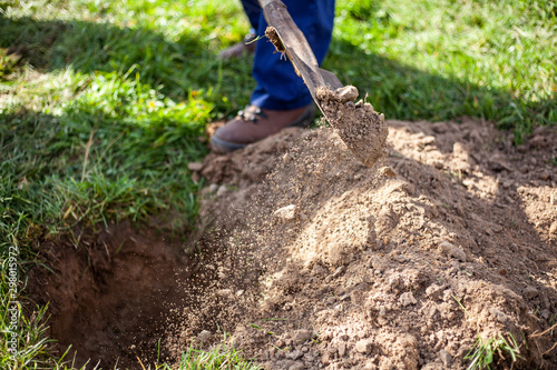 Gardener dripping a shovel pit for a tree. The soil is dug up for a seedling. A metal shovel is an important tool for a gardener.