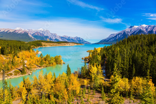 Picturesque shores of Abraham Lake