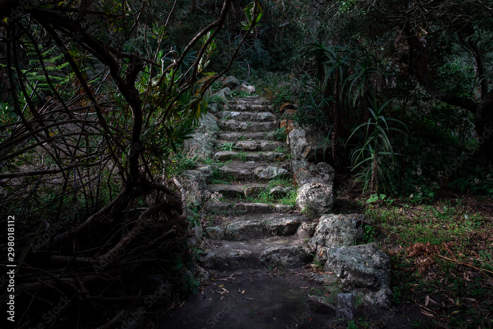 Foto de Mysterious looking steps in a green dark garden do Stock
