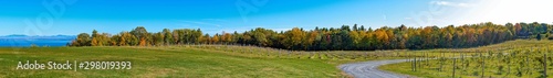 Panoramic view of a vineyard in New-York state in late fall