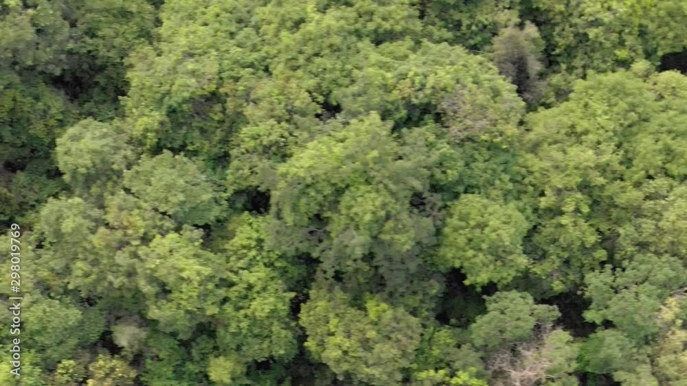 Drone Shot of a Cambodian Jungle Drone Shot of a Cambodian Jungle