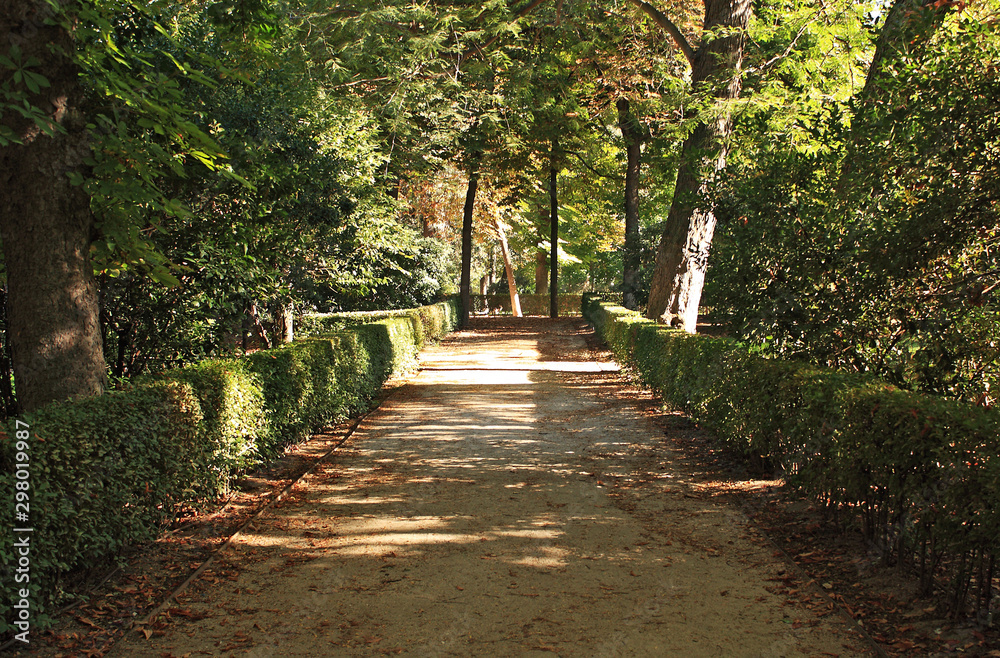  Road in the park in autumn