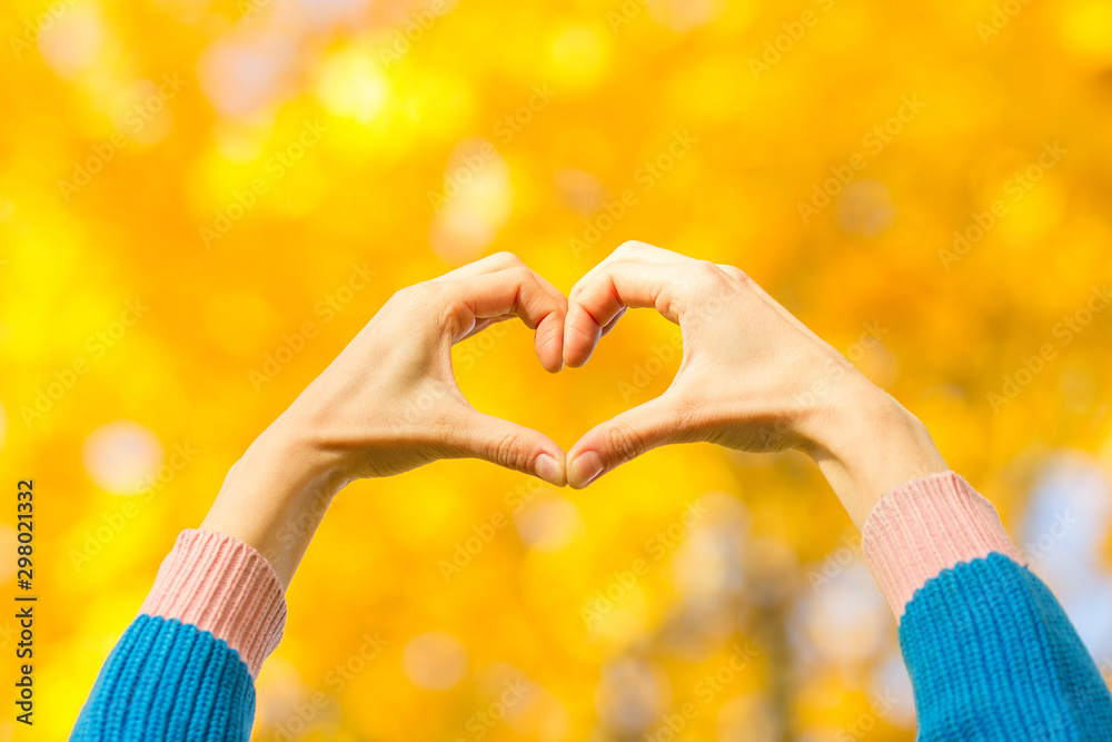 Heart symbol created from woman's hands is over yellow foliage
