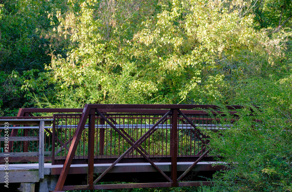 An Iron Bridge Through Forest on a Walking Path