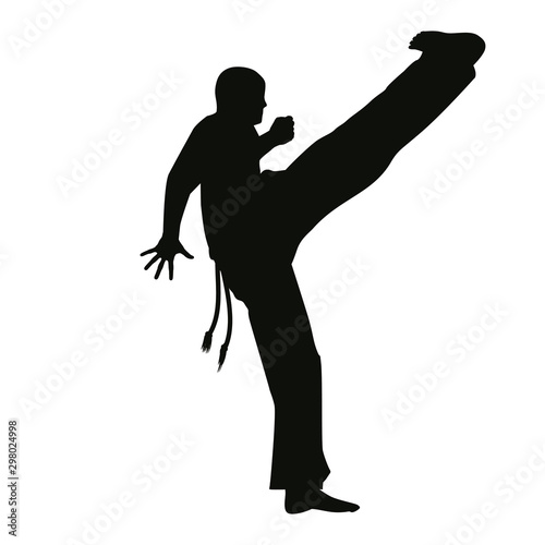Capoiera Silhouette
