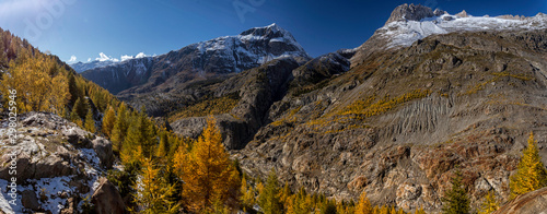 Panoramic view of Aletschwald in autumn with foliage / Panorama des Aletschwalds mit herbstlicher Laubfärbung photo