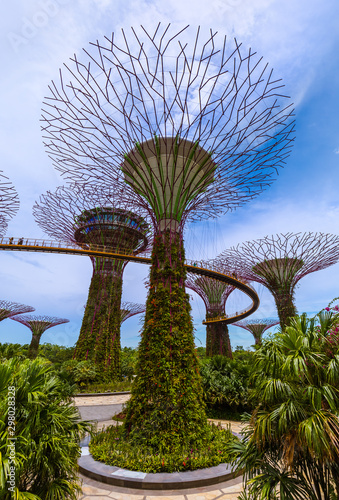 Park Gardens by the Bay - Singapore