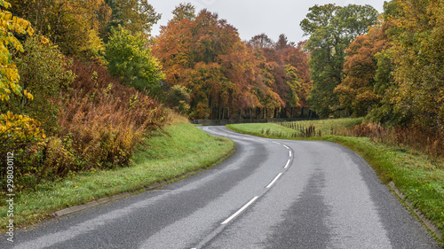 Autumn colours on winding road