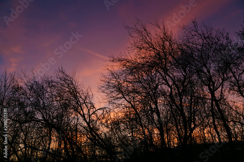 Beautiful colorful sunset above the dark autumn trees silhouettes