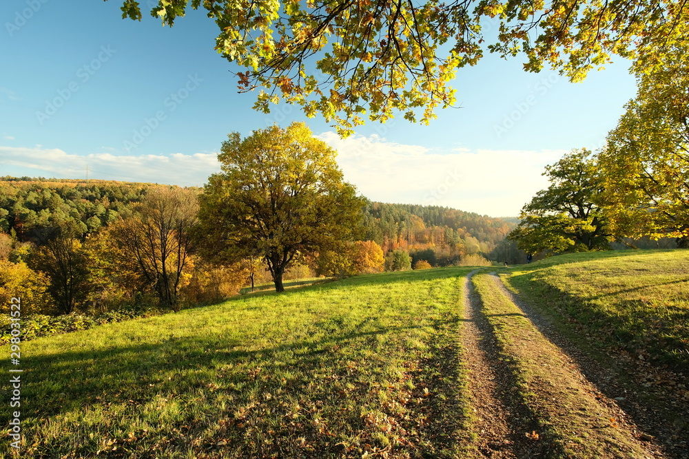 Naklejka premium Herbstweg