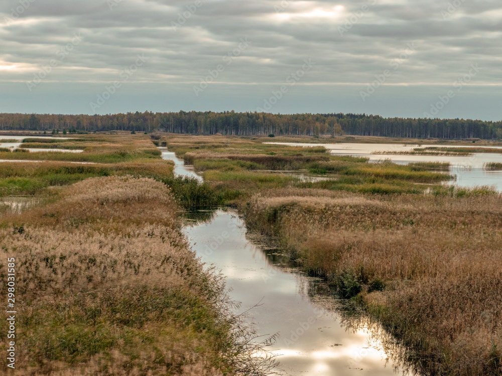 autumn landscape with overgrown lake, dry reeds, cloudy skies autumn landscape with overgrown lake, dry reeds, cloudy skies