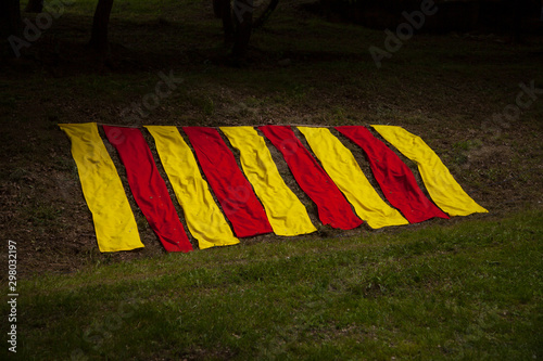 Bandera de Cataluña en un prado photo