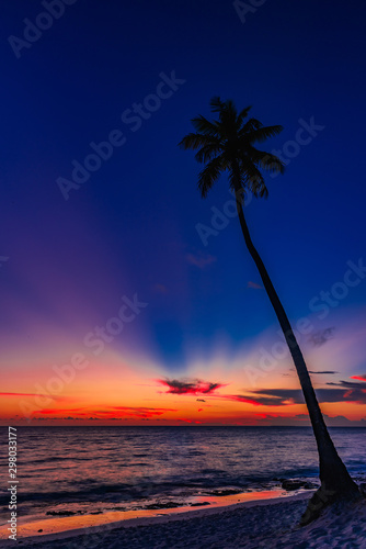 beautiful sunset of the caribbean