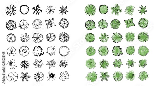 Various green trees, bushes and shrubs, top view for landscape design plan. Vector illustration, isolated on white background.