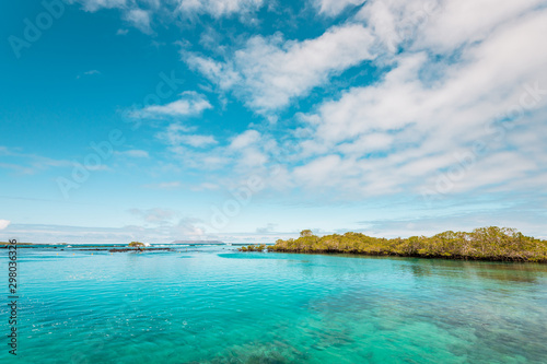 Obraz na płótnie The blue lagoon of Concha de Perla with green mangrove forest on the Island of Isabela, Galapagos Islands, Ecuador, South America w salonie