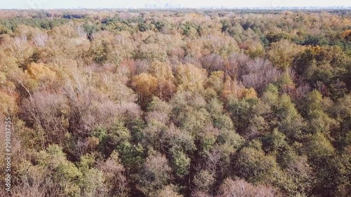 Aerial view of the autumn forests around Warsaw