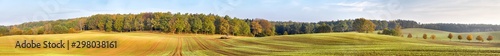 Edge of a forest and field, panoramic Autumn landscape.