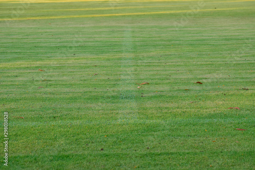 football field Is a green lawn That has been beautifully trimmed