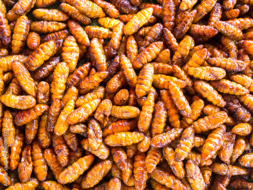 Fried bug in a pan insects popular snack street food in Thailand,Laos and Cambodia,ASIA. Fried bug in a pan insects popular snack street food in Thailand,Laos and Cambodia,ASIA.