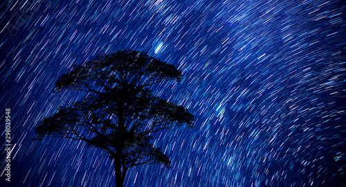 Star trails movement at night.Abstract long exposure of strail trails against a blue sky at dark night. photo