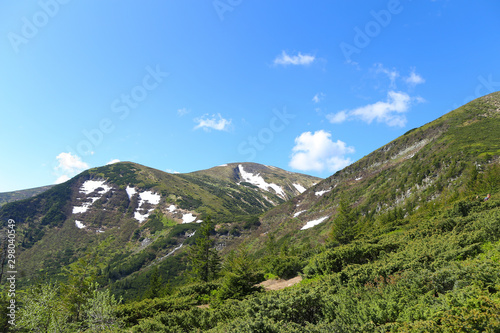 Apenine mountains with fir trees and clouds in background. photo