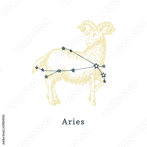 Zodiacal constellation of Aries on background of drawn symbol in engraving style. Vector illustration of sign Ram.
