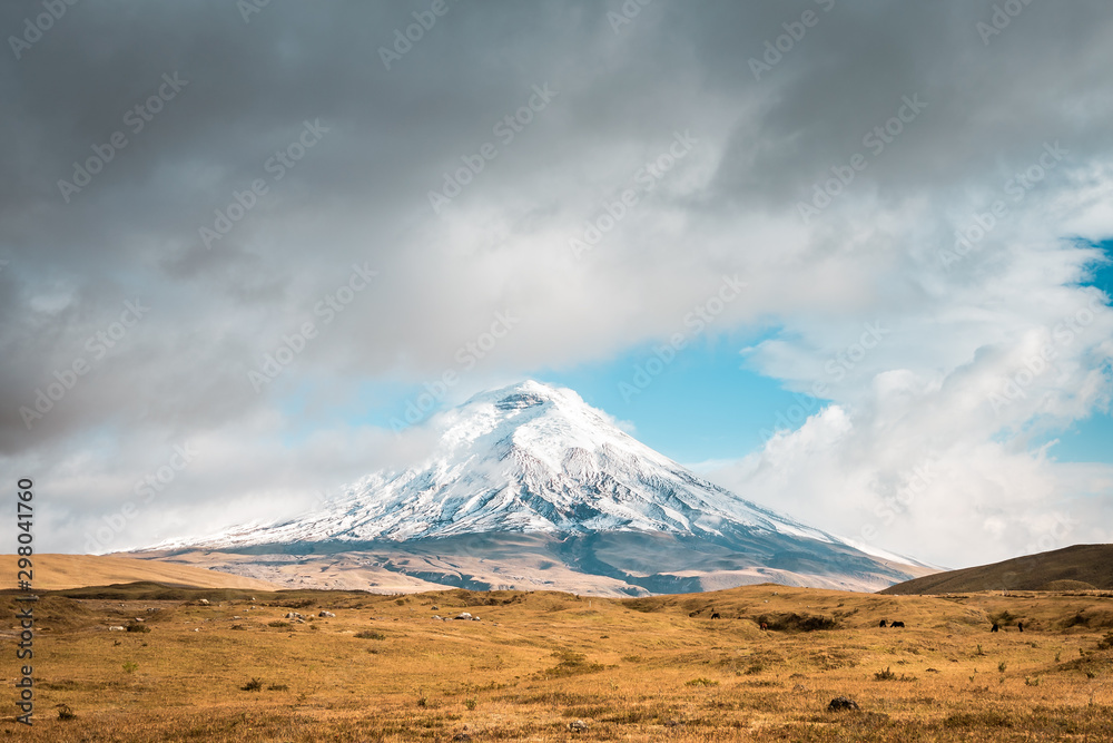View to the volcano Cotopaxi with snowy peak in a rough landscape, Cotopaxi National Park, Ecuador, South America