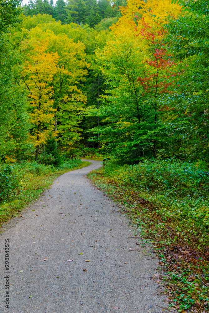 Footpath and fall foliage colors, in Mont Tremblant National Park Footpath and fall foliage colors, in Mont Tremblant National Park
