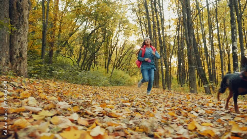 Young happy girl with a dog on a leash runs through the foliage in the autumn forest on a sunny day, slow-motion 4k shot Young happy girl with a dog on a leash runs through the foliage in the autumn forest on a sunny day, slow-motion 4k shot