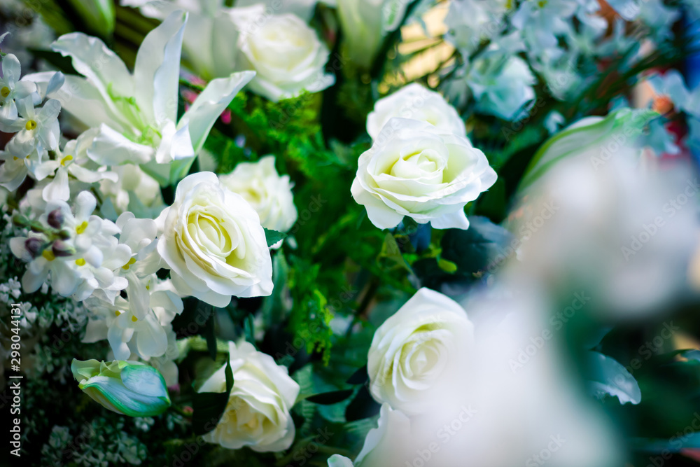Group white roses close-up in the middle of fresh green leaves. Group white roses close-up in the middle of fresh green leaves.