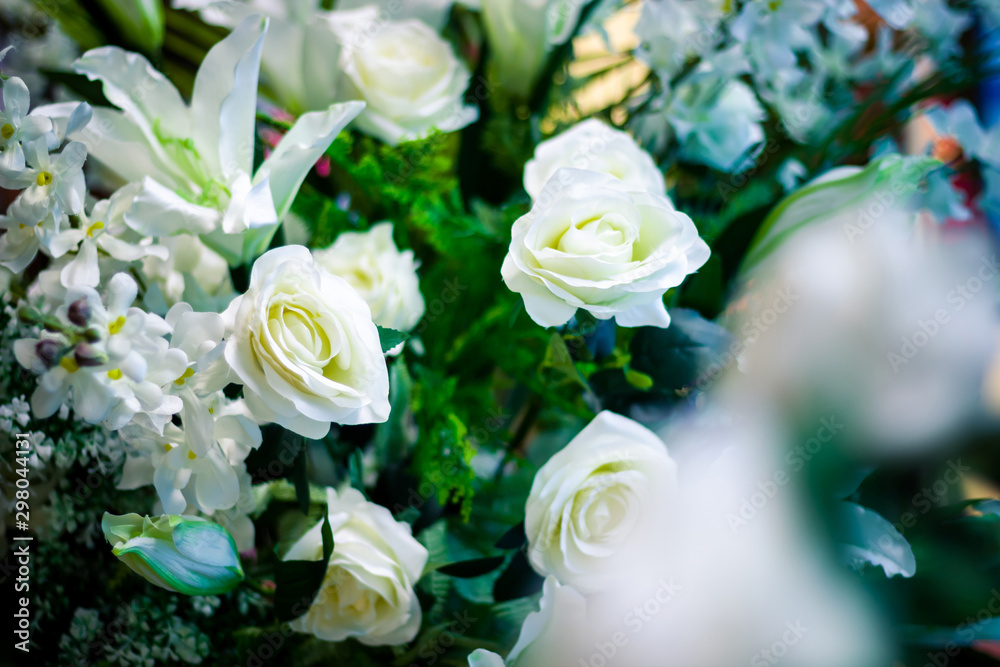 Group white roses close-up in the middle of fresh green leaves.