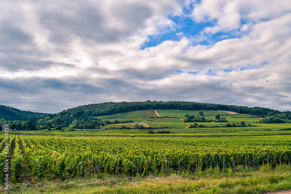 French Countryside