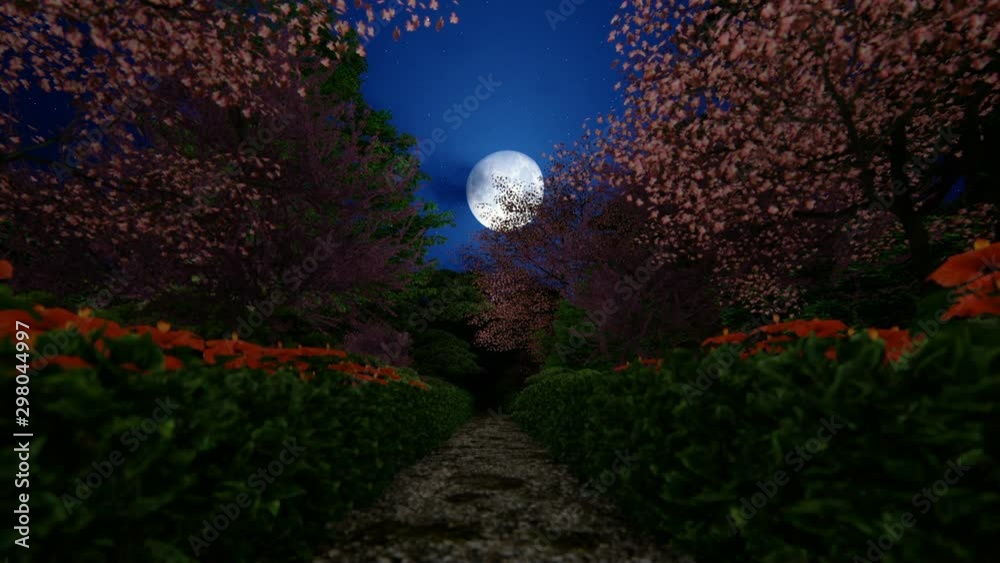 Beautiful japanesse garden with full moon shinning through blossom cherry trees, hd