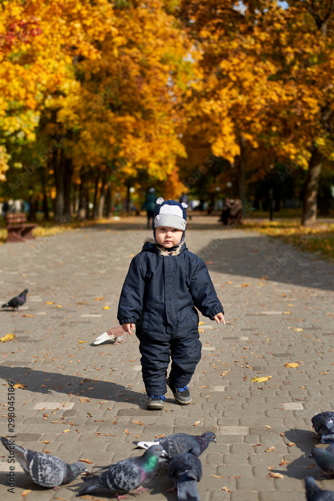 Fototapeta premium Little boy in overalls and a funny hat feeds pigeons in the park in autumn.