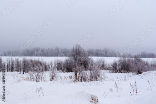 Russia. Winter. Fog in the forest.