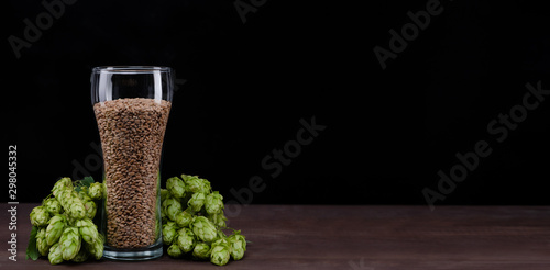 Beer glass with malt and fresh green of hops on dark wooden table. Black background. Empty space for text