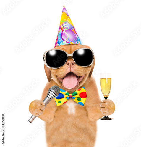 Dog wearing a party hat and sunglasses holds microphone and champagne. Isolated on white background © Ermolaev Alexandr