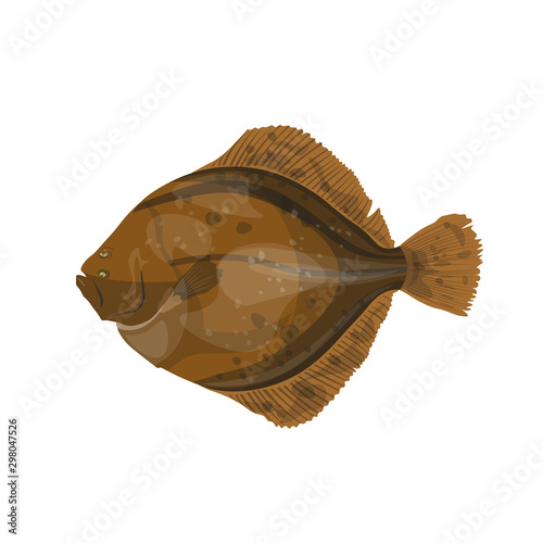 Flounder fish, vector illustration in flat style