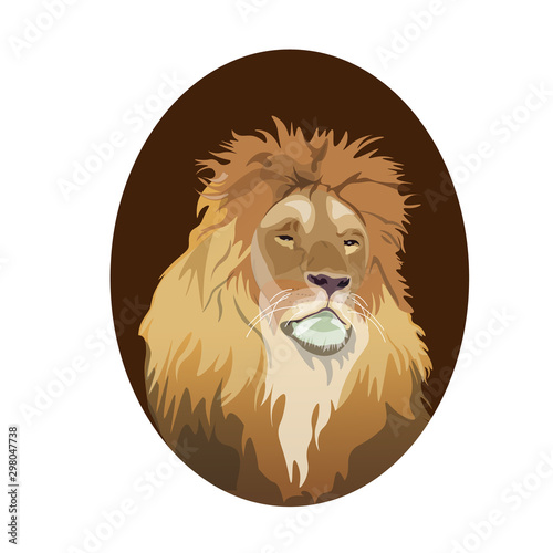 Lion head portrait in oval frame, realistic vector