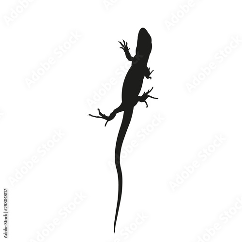 Silhouette of lizard, vector image in flat style