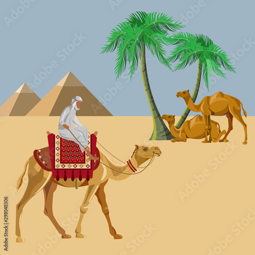 Arab man rides a camel in the desert