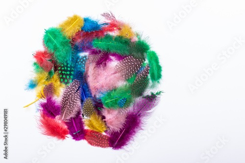 Multicolored carnival feathers