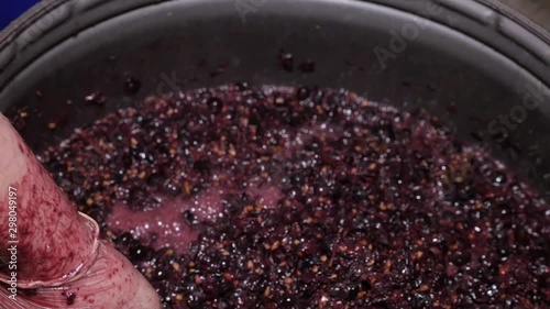 Closeup hand squeezes grapes and makes wine