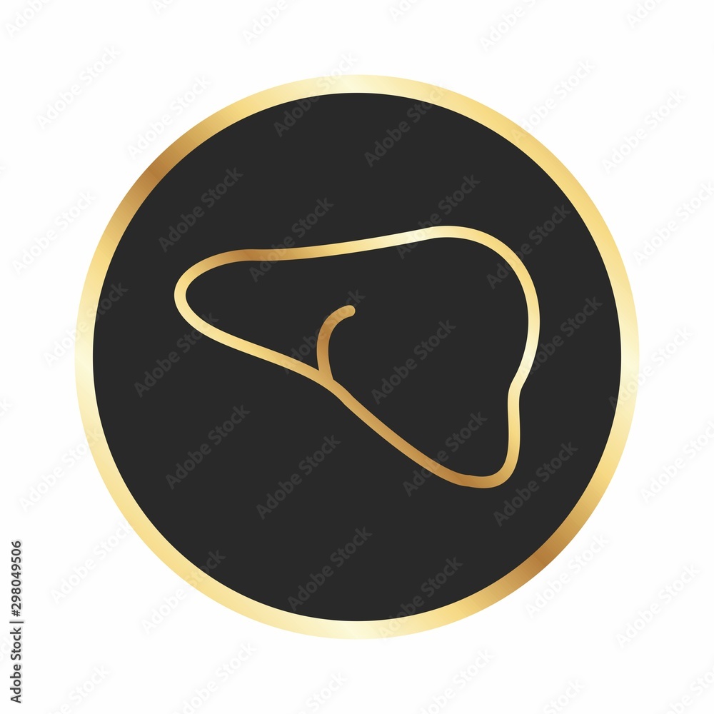 Liver Icon For Your Design,websites and projects.