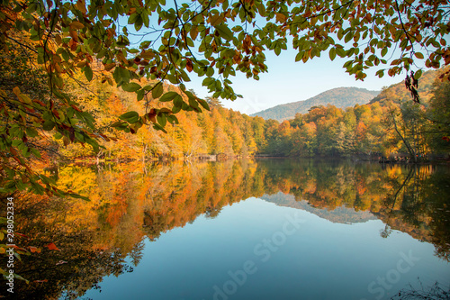 Impressive Autumn Lake View