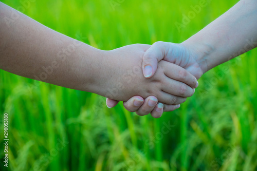 Boys and girls are holding hands on the meadow background