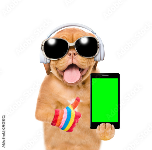 Funny puppy with sunglasses listening wireless music with headphones, holds smartphone with empty screen and shows thumbs up. Isolated on white background © Ermolaev Alexandr