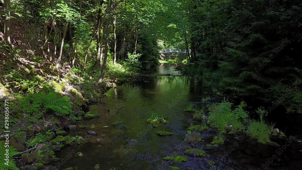 Drone low flight over small river in Harz National Park