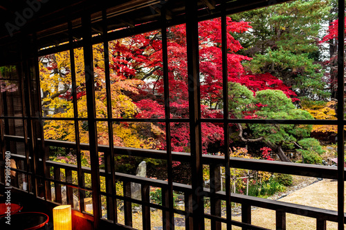 窓から眺める秋の庭園